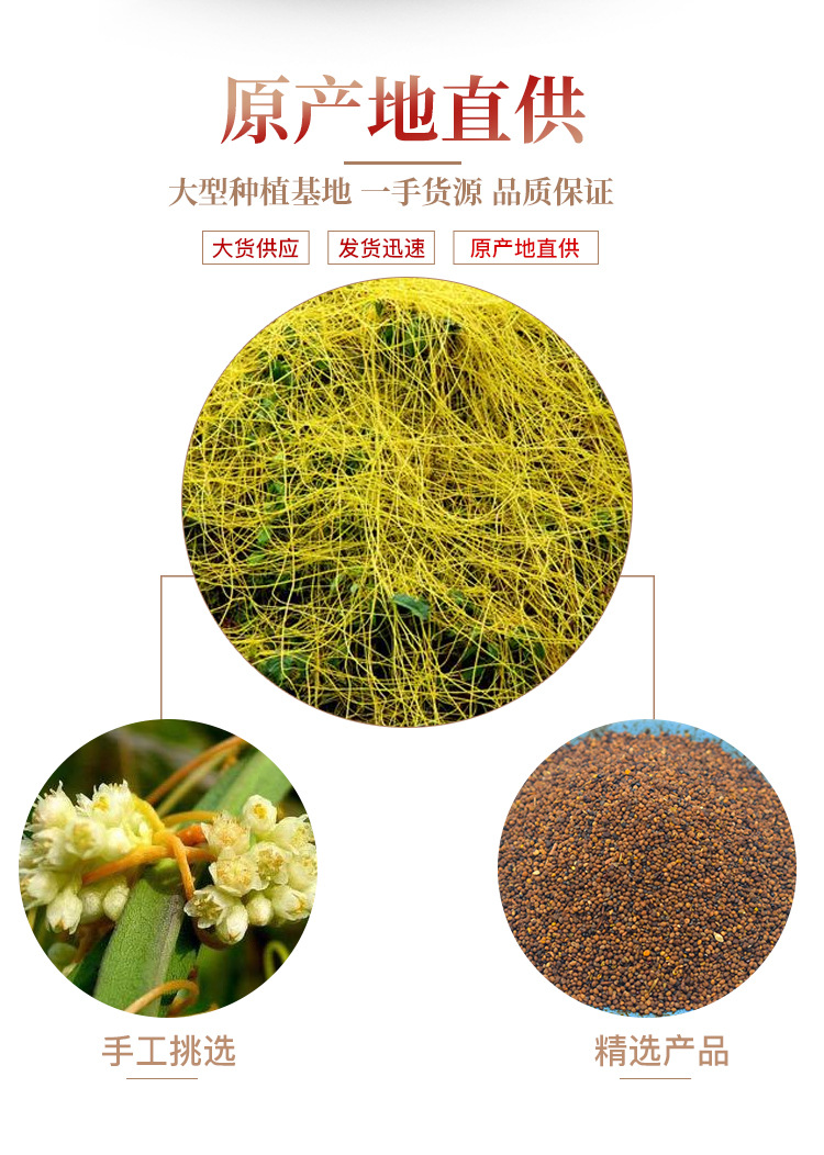 Dried Dodder Seed Tu Si Zi Whole Herb 500g Bulk Chinese Herbal Ingredient quality and texture
