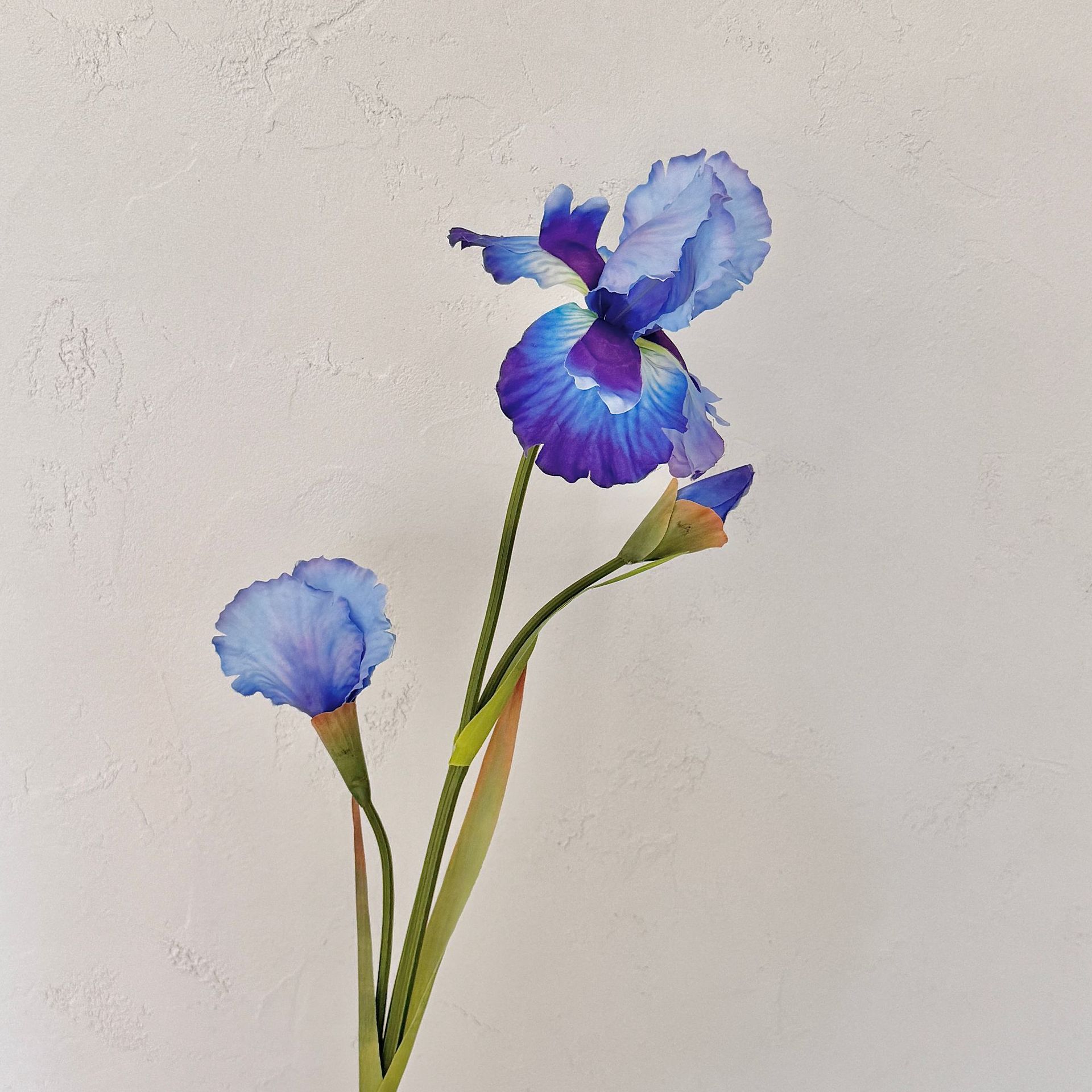 Alice Iris flor de imitación color de pintura al óleo flor falsa decoración de la sala de estar del hogar decoración suave del hotel arreglos florales accesorios de tiro