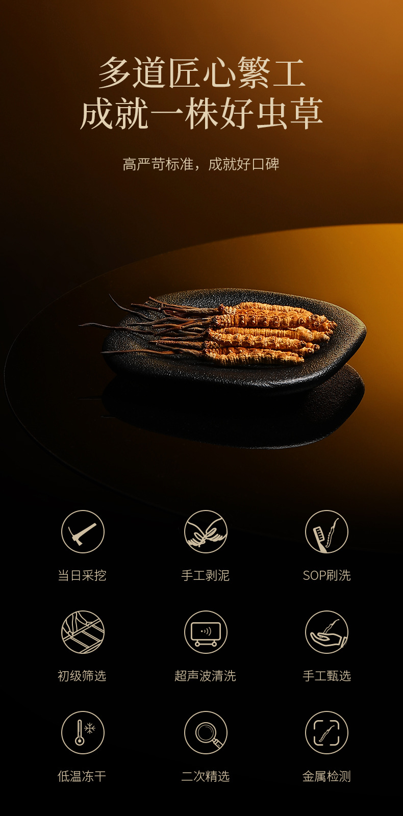 Premium Cordyceps Sinensis Gift Box 50 Stems 16.7g Dong Chong Xia Cao for Traditional Herbal Soups specifications