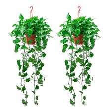 ����G�}���Գ���ȩ�͏d��ˮ��ˮ�໨�ܷ�ݗ��ֲ���G�j�k���҃�