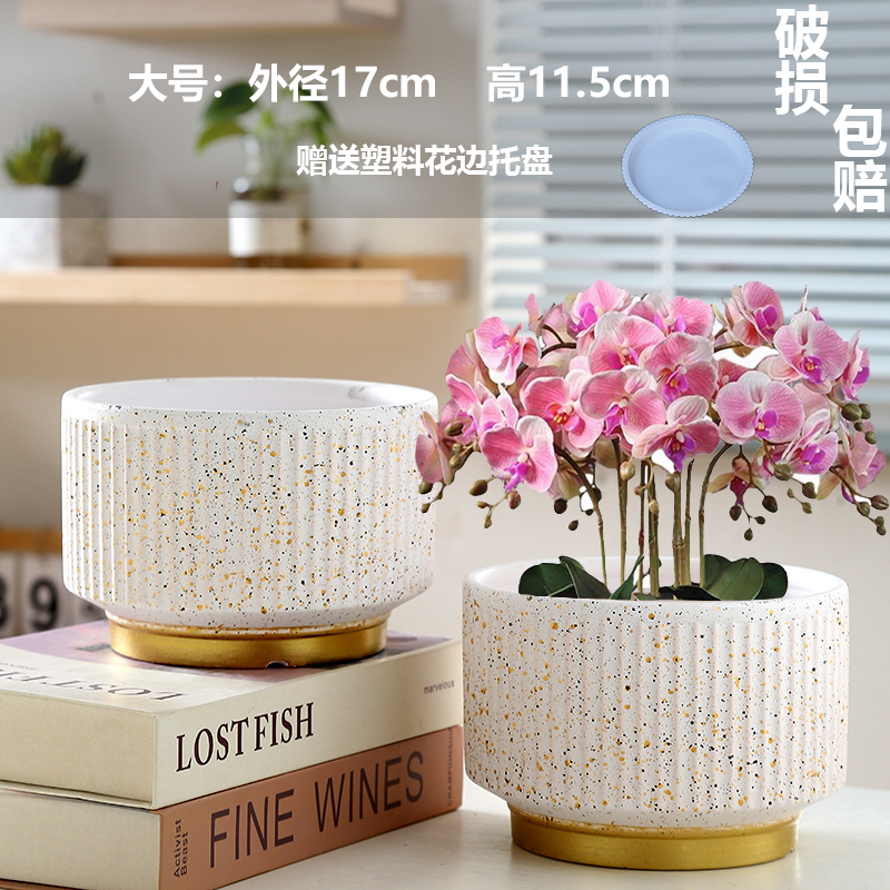 대형 반투명 백금 2개(트레이 포함)