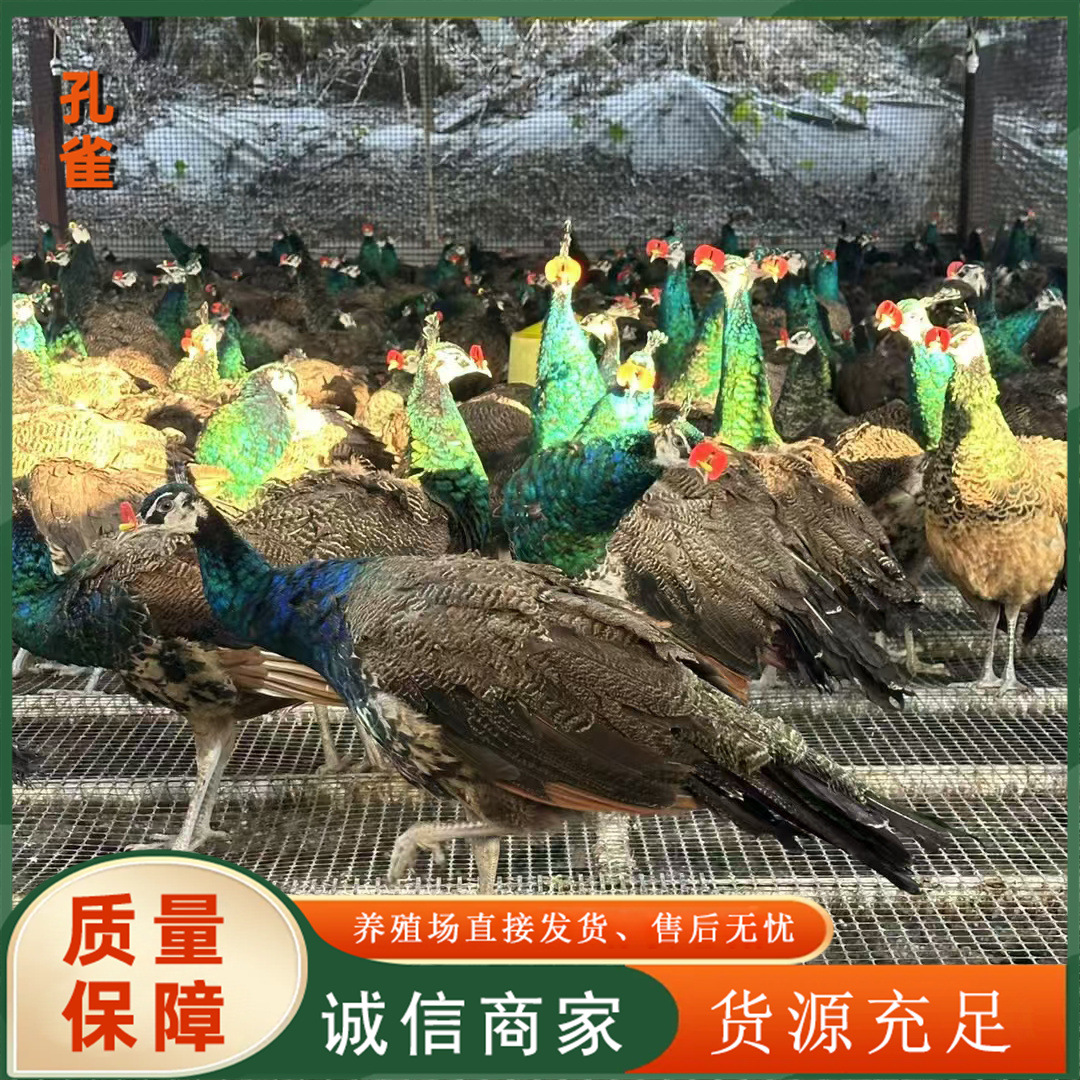 f5ffa7b44838fc79b118c41502e3b4