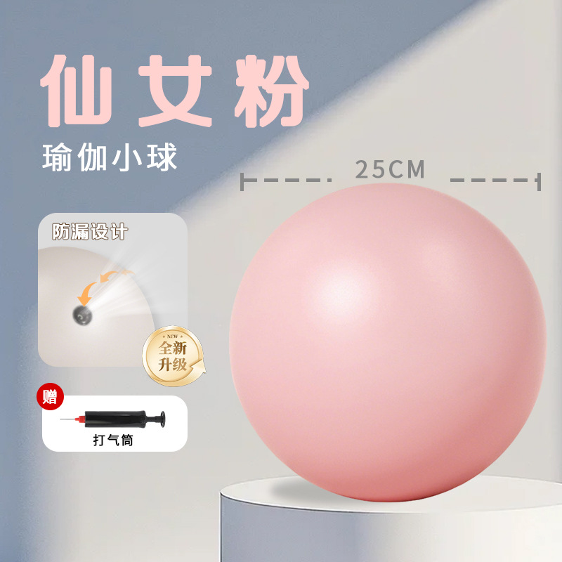 업그레이드된 25cm 페어리 파우더 [필라테스 추천] (펌프/영상강의 무료)