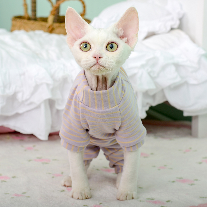 배 보호 네 다리 의류-보라색 살구색 줄무늬