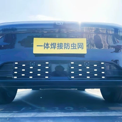 Grille, Dedicated Modification Decorative Strip – Automobile anti-insect net