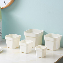 多肉花盆加厚塑料大号圆角磨砂小黑方白色叶插盆肉肉植物盆栽方盆