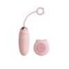 6th series of remote control vibrator pink
