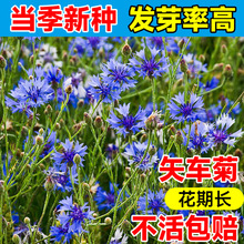 ʸ܇�շN�Ӳ��N�ļ��׷N�҃Ȼ��ܷN���̨�����ﲥͥԺ����