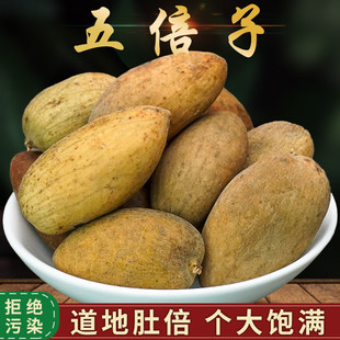 Ұɽ�屶��500���屶�ӷ������ߴ���ʯ��Ƥ������ζ����