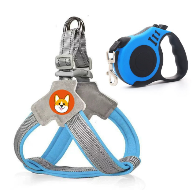 New comfort blue harness + 3m blue automatic retractable leash / S [recommended weight 3-6kg]