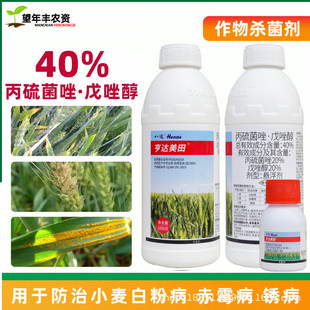 40%�����������С���׷۲���ù�����o�ί����_�����rș������