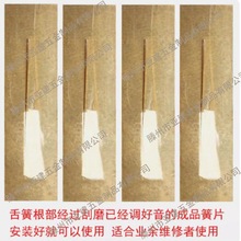 ���J�z�͞������Ƭ�{�{���{�{�{�{���� �S��ֱ�N��ƷëƬ