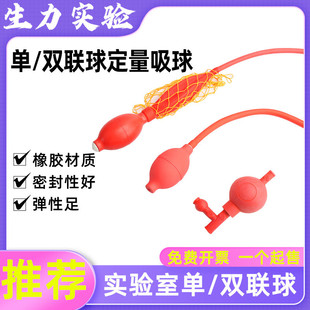 ���z�p�B�����z�đ�Ҍ��x���p�������������������