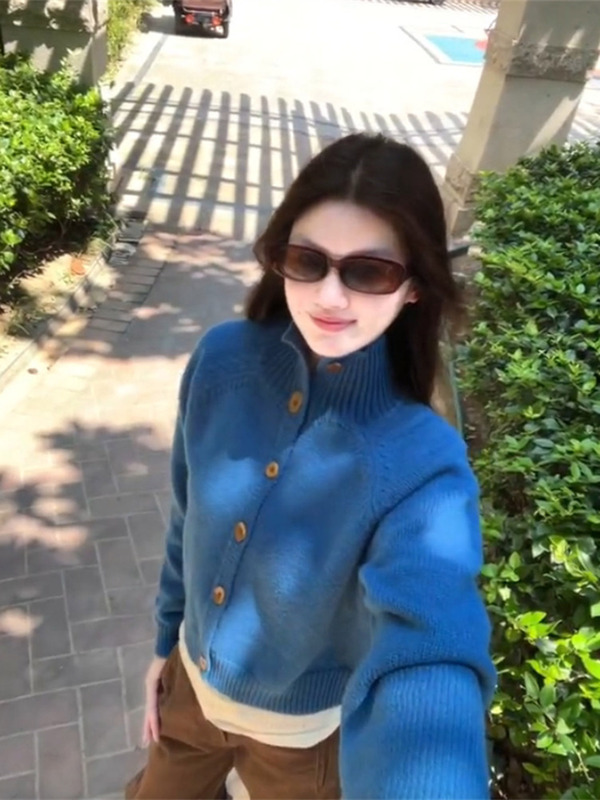法式气质高级感蓝色立领长袖针织衫女秋季休闲慵懒风百搭开衫上衣|undefined
