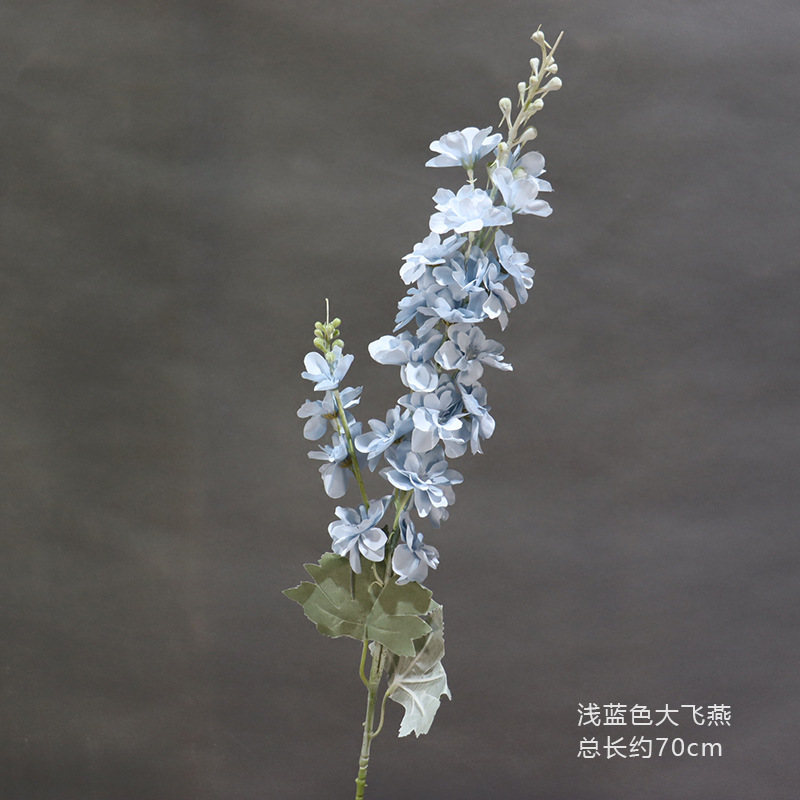 하늘색 라지 델피늄