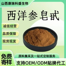 西洋参皂甙80% 速溶西洋参粉 原料西洋参提取物 厂家直发免费包邮