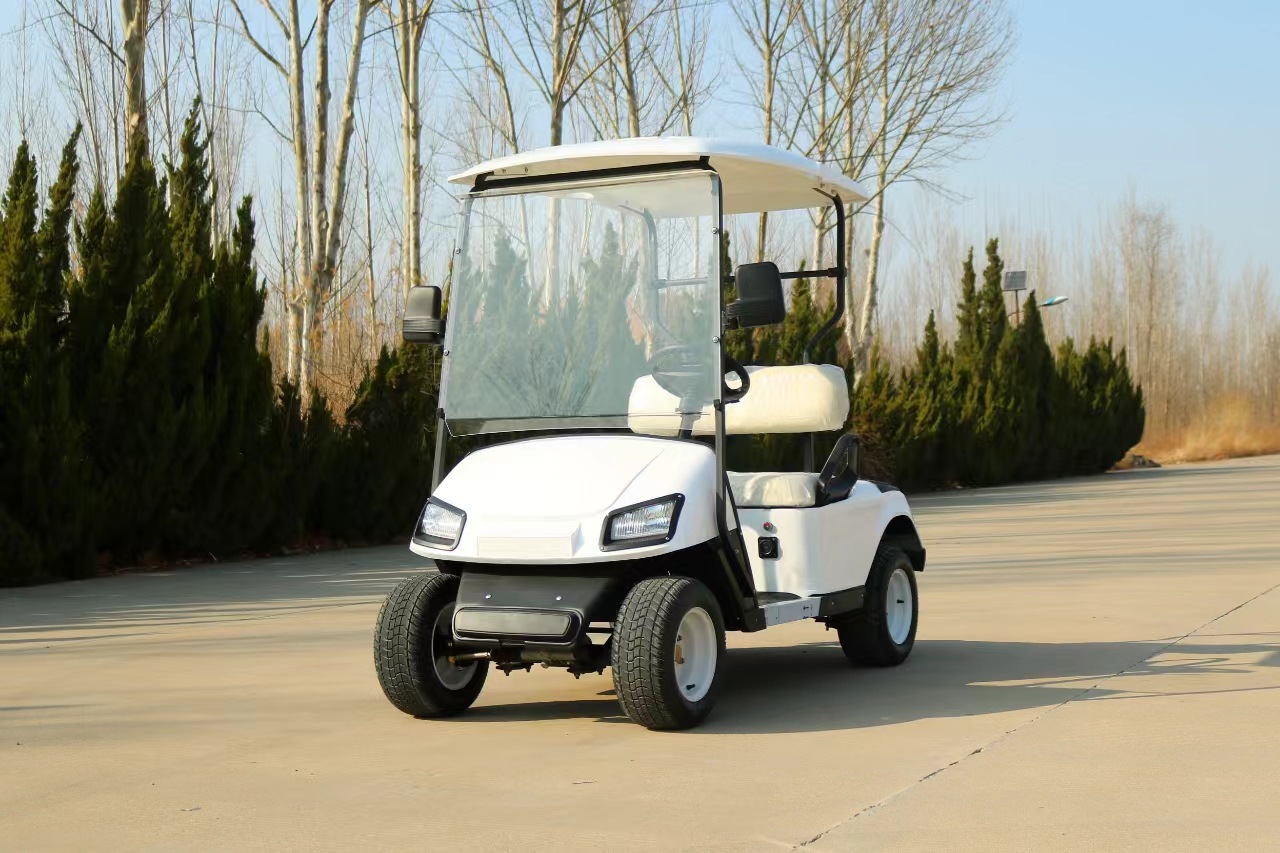 XT Xiangtu Travel Scenic Area Smart Scan Code Transport Vehicle Manufacturer 2-seater Golf Cart