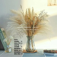 JȔbȔСJȔɻβСmb[͏dM