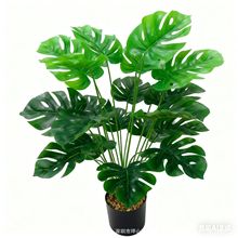 �S��ֱ�N����Gֲ�ٻ��͏d�����b[�����滨�������ø߼��б���