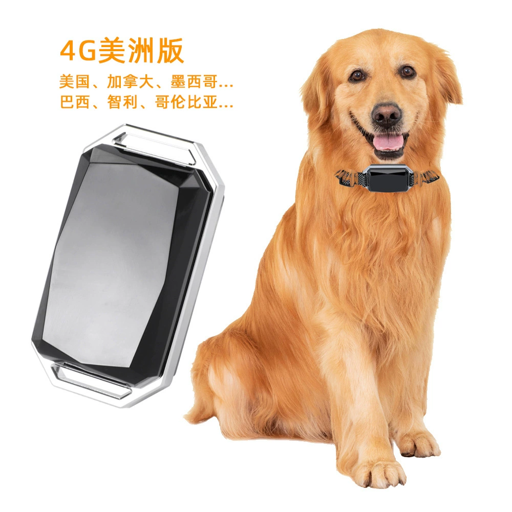 4G Dabaostone G58 Pet GPS-локатор американской версии Cat Dog анти-потерянная батарея большой емкости Мониторинг здоровья