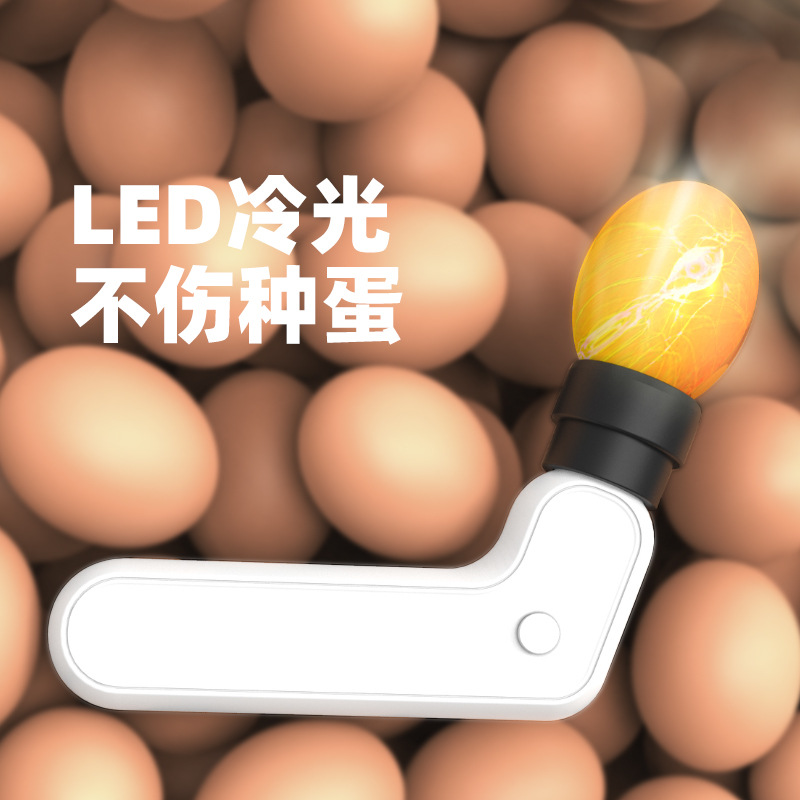 厂家直销照蛋器鸡鸭鹅芦丁可照专业冷光照蛋灯LED手持握把式照蛋