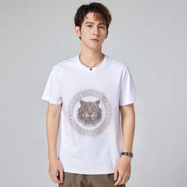 80支丝光棉纯色短袖男士时尚百搭棉圆领T恤2024年夏季新款短袖