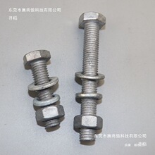 ƽ�|��˨�������������\������˨�\��ĸ��˨��ĸ���|������