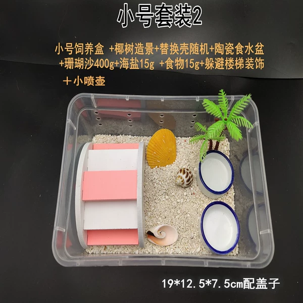 [小号套装2 （送一只小蟹） 粉色楼梯]