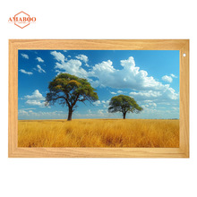 ƸƷ|21.5VCa֧ҕlDƬ