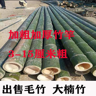 ���ӗU��ͻ�c��Y��������֧�ܴ���ʹ�ë�������������