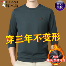 ��ľ�B������ʿ�L��t��2025�＾�A�I�l�������|���^��������·�