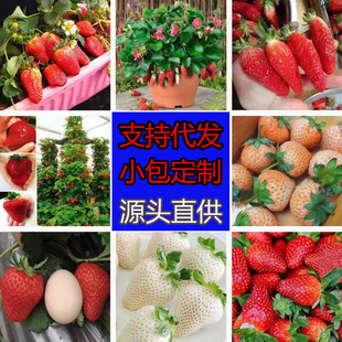 �ļ���ݮ�N���׻���ֲ��ͥԺ�̨�����҃��⻨�ܷN�����Ͳ�ݮ�N��