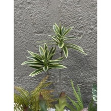 �Gֲާ廨ֲ��󲨽zާ��ֲ����b�䁵����쾰�ٻ���