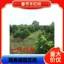 ���lɰ���ٴ�Ƥ��۽��Ә������Ե����̨ͥԺ�ļ��Nֲ�ϱ�������