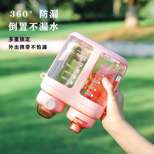 Double-compartment, Dual-Drink Portable Fruit-Grid Space Cup | Insulated, High-Temperature Resistant, Drop-Proof Sports Water Bottle with Straw | Tea-Making Sports Kettle