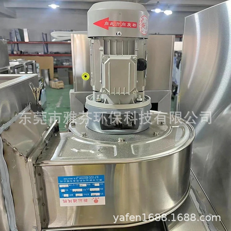 P12.webp.jpg
