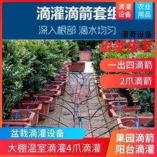 果园滴箭8升4升滴头滴灌全套设备稳流器自动浇花器盆栽果树滴水