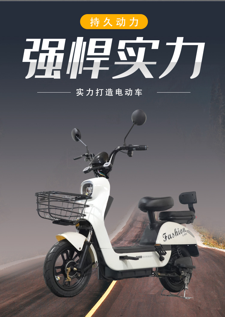 Two-wheeled Electric Vehicle, Adult Transport