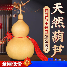 ��Ȼ���J�������J���Ї��Y�����_���T���T�͏d���P�[����̖����