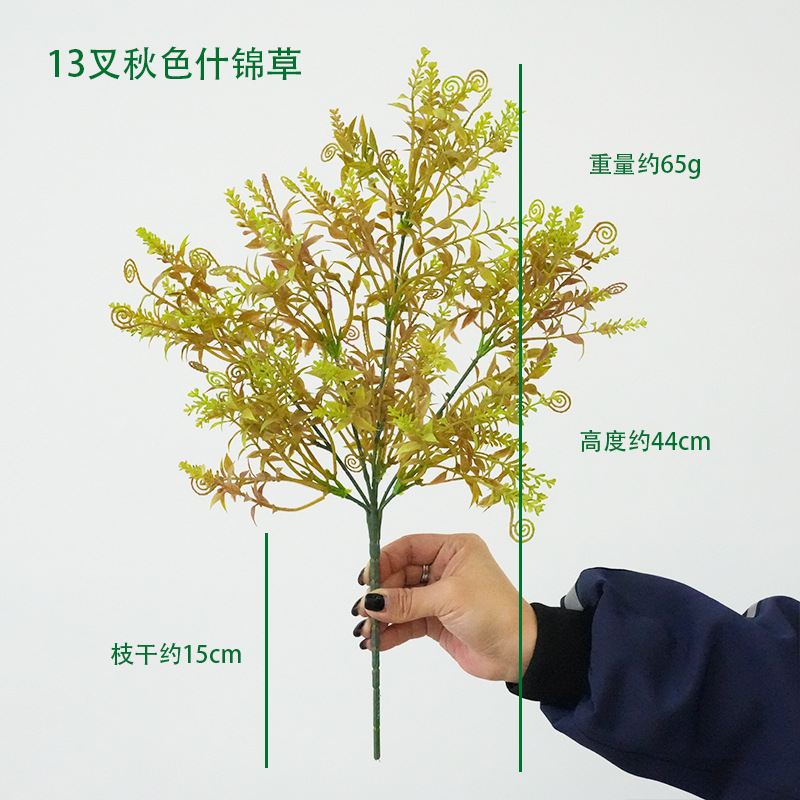 가을 잔디 모듬의 짧은 가지 13개