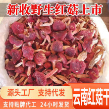 源头一件代发优品促销云南红菇补干货无硫红菇月子煲汤佳品开伞
