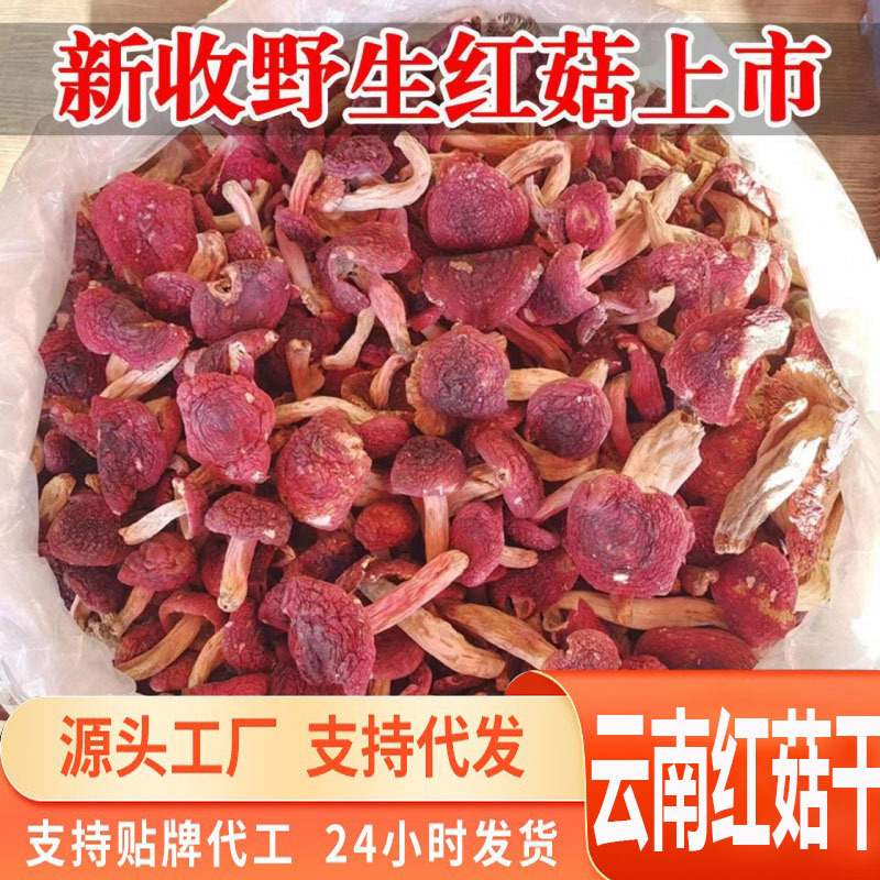 源头一件代发优品促销云南红菇补干货无硫红菇月子煲汤佳品开伞