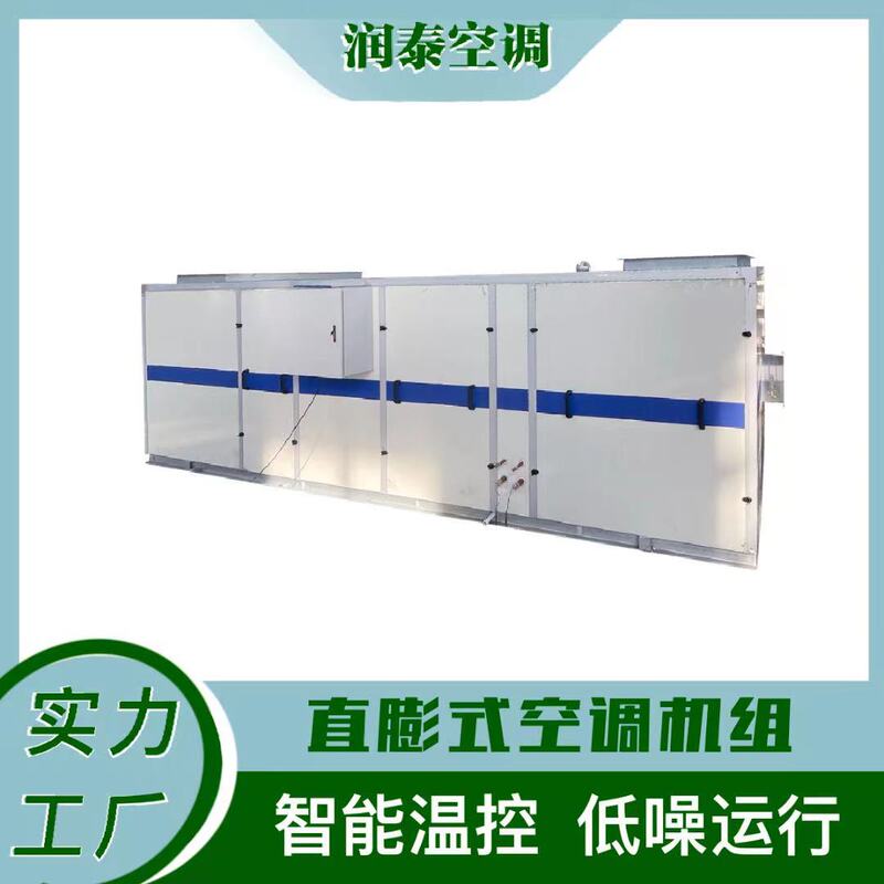 Runtai Constant Temperature and Humidity Purification Air Conditioner Energy-Saving and Durable Unit Air Conditioner Unit Breeding Special Air Conditioner Runtai Constant Temperature and Humidity Purification Air Conditioner Energy-Saving and Durable Unit Air Conditioner Unit Breeding Special Air Conditioner