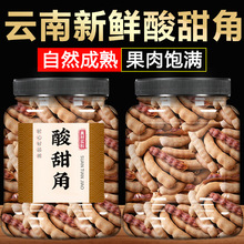 甜酸角云南特产新鲜酸甜角袋装新鲜大果办公解馋零食官方旗舰店