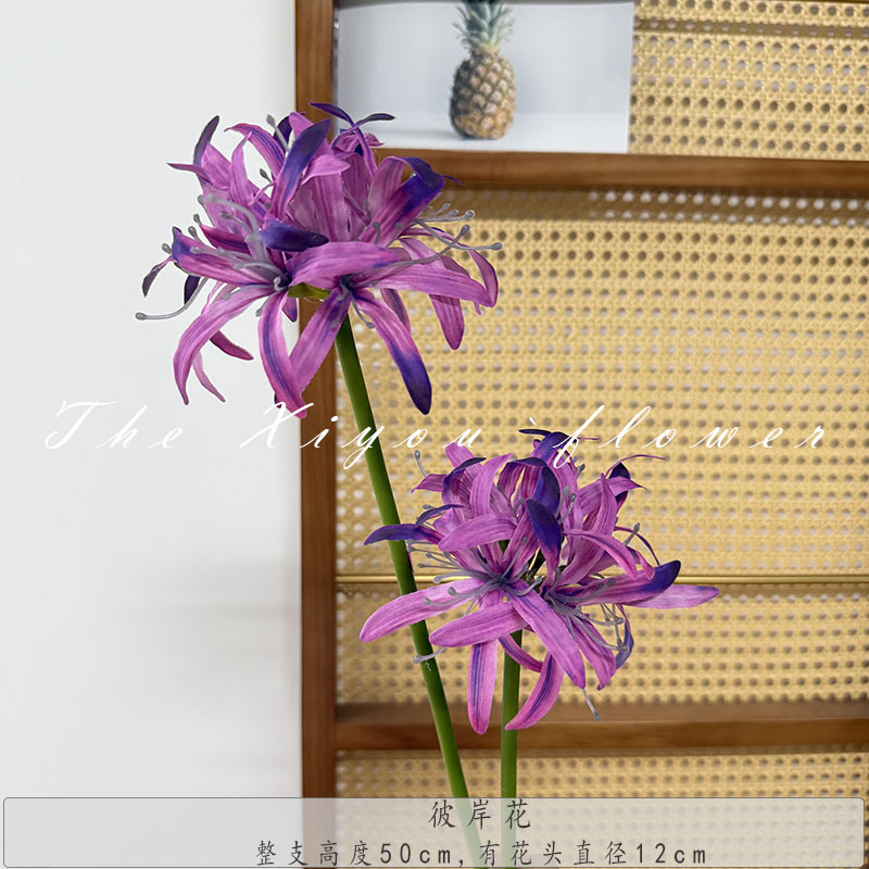 반대편의 꽃 - 그라데이션 퍼플