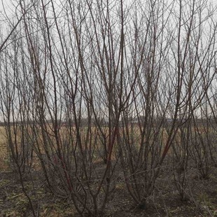 ɽ�ҳ���2-10���ֹ��̾G���������Ҽt�����Ҿ��Җ|��ɽ�ҳ���С��