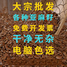 批发食品级精选棕色亚麻籽 棕色亚麻籽胡麻仁 秋麻胡麻子现货批发