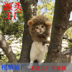 万聖鬼節は猫の犬を飾って萌えます。通用はマジックを調節して秋冬のライオンを貼ってペットの帽子に変身します。