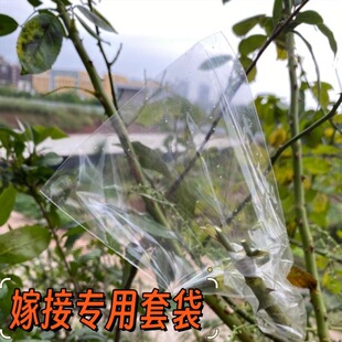 �޽Ӵ��״����ϴ��޽ӹ��䱣��ľ�����¼��������ܷ��