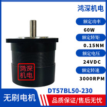 DT57BL50-230直流无刷电机电压24VDC3000转适配DBLS-01驱动控制器